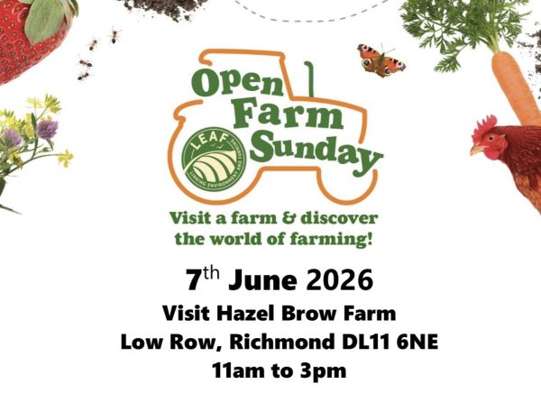 Open Farm