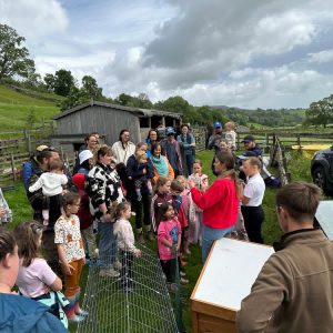 Educational Groups