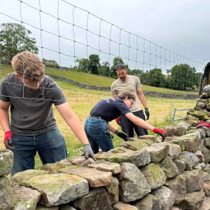 Dry Stone Walling Experience